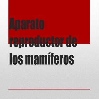 Aparato reproductor de los mamíferos