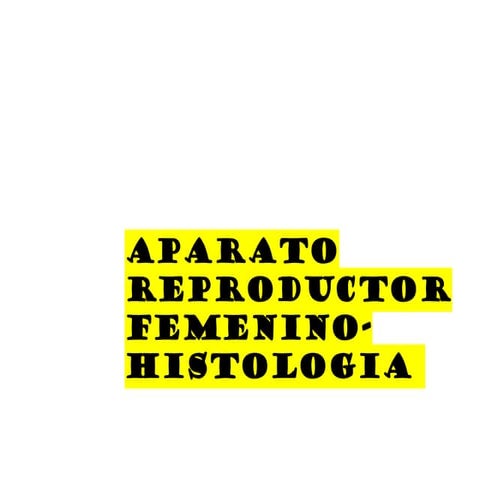 Histology of the Female Reproductive System: Detailed Anatomical Study ...