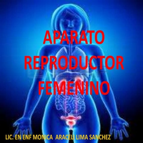 Aparato reproductor fem moni dos