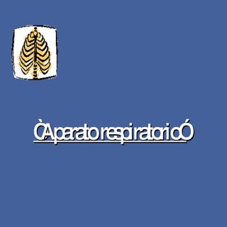 Aparato respiratorio