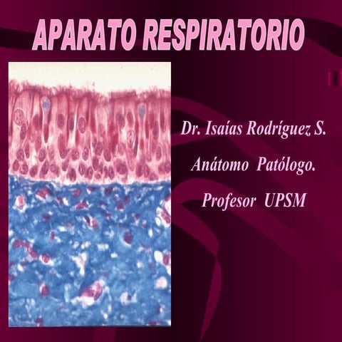 Aparato respiratorio