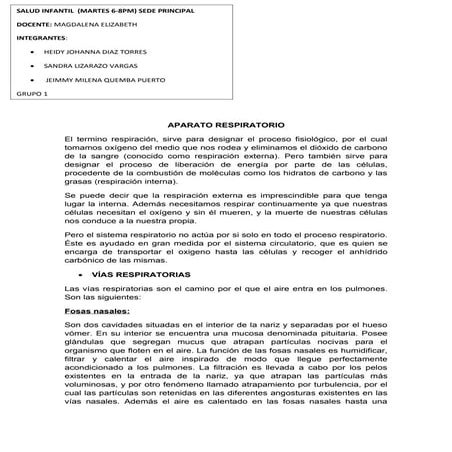 Aparato respiratorio