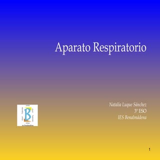 Aparato Respiratorio