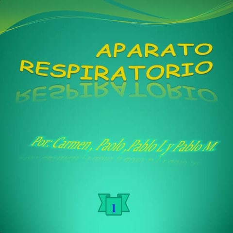 Aparato respiratorio