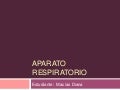 Tracto respiratorio