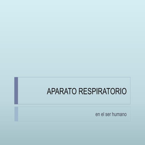 Aparato respiratorio