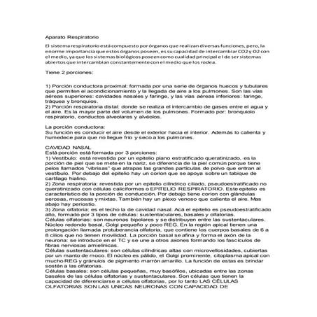 Aparato respiratorio