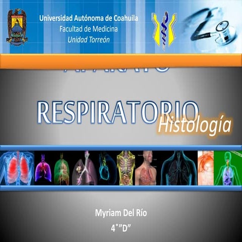 Histología de aparato respiratorio