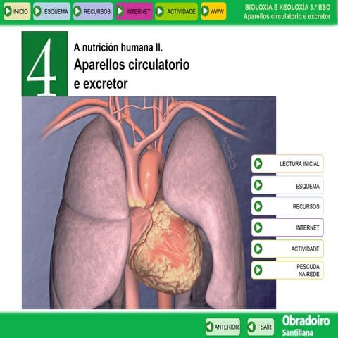 Aparatos circulatorio e excretor