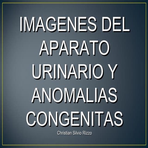 Aparato urinario normal y anomalias (2)