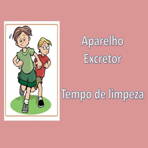 Aparelho excretor