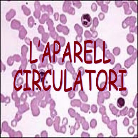 Aparell c irculatori