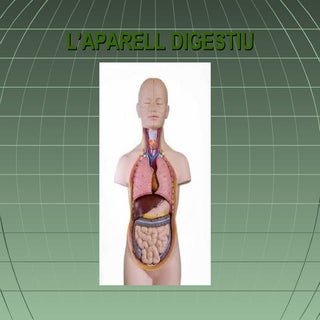 APARELLS I SISTEMES DEL COS HUMÀ