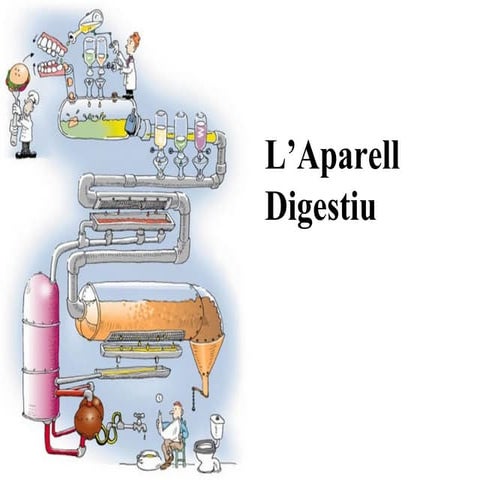 Aparell digestiu