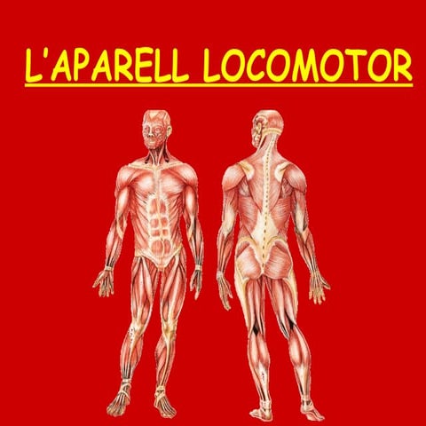 Aparell locomotor