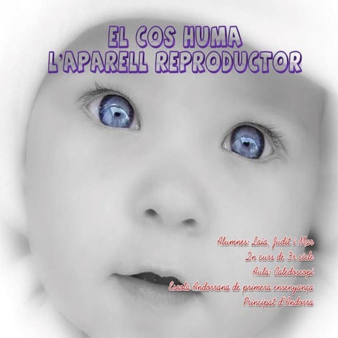 Aparell Reproductor