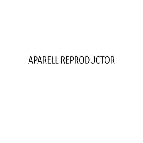 Aparell reproductor