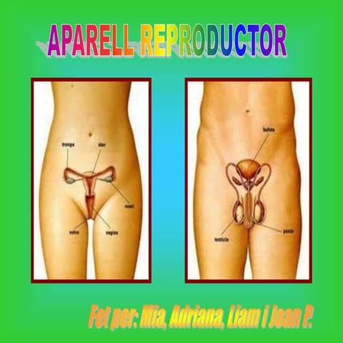 Aparell reproductor