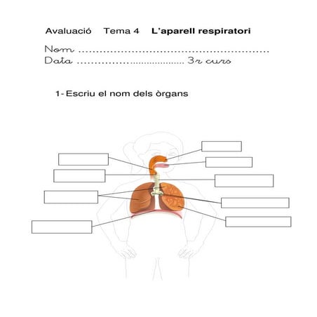 Aparell respiratori. Avaluació.