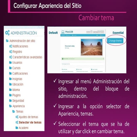 Apariencia moodle