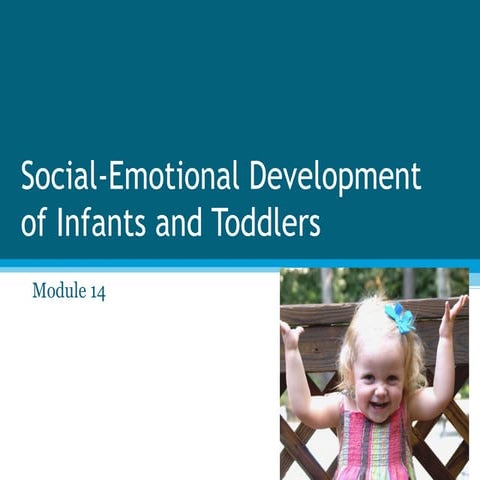 social emotional development of the infants and  toddlers