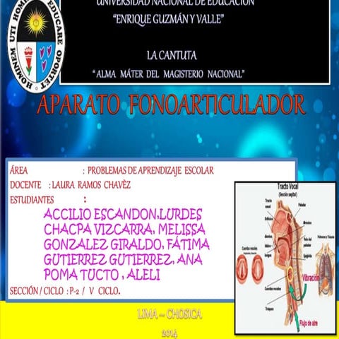 Aparto  fono articulador