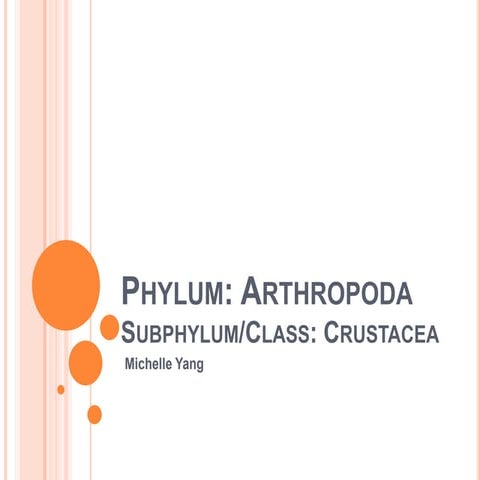 Ap Bio2 Michelle Yang Crustacea