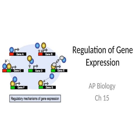 Regulation of gene expression in eukaryotes | PPTX