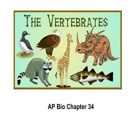 Ap Chap 34 The Vertebrates