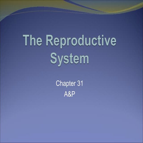 A&P Chapter 31 The Reproductive System