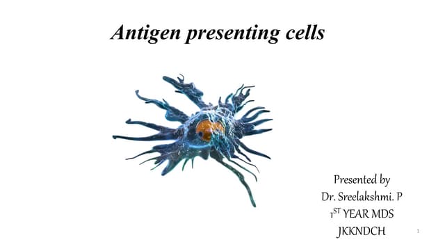 ANTIGEN PRESENTING CELL