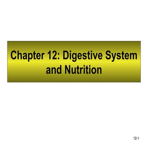 Ap Digestivo Fisiologia Del Aparato Digestivo Ppt