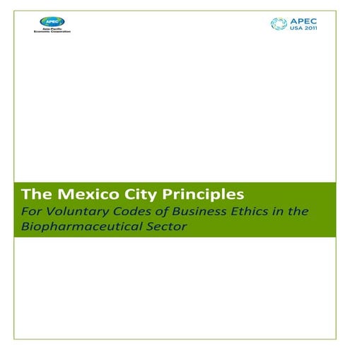 The Mexico City Principles