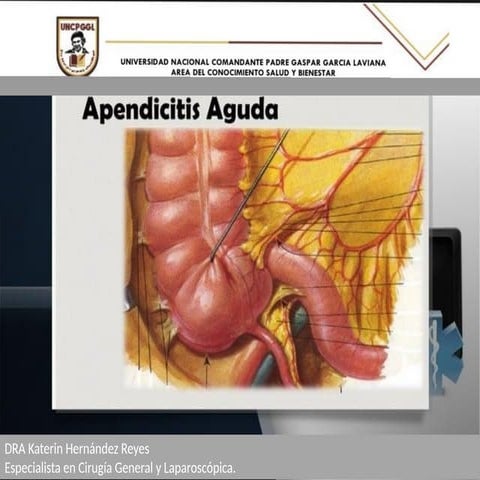 HPB. HIPERPLASIA PROSTATICA EN UROLOGIA PPT | PPTX