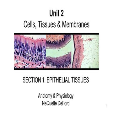 Epithelial Tissue PPT