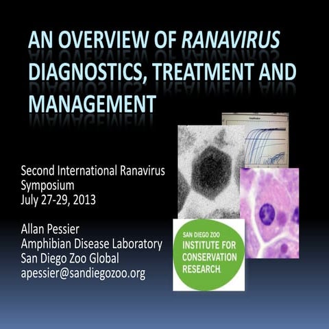 An overview of ranavirus diagnostics, treatment and management