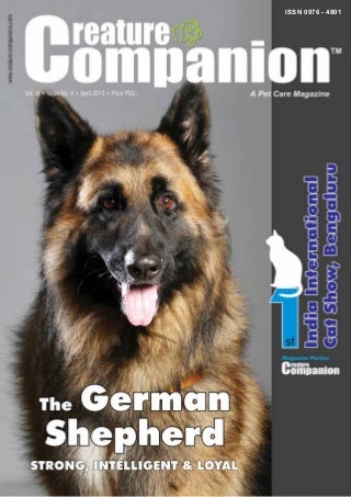 How Google Utilizes Breed To Establish Bigger