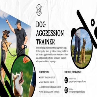 Dog Aggression Trainer ! A Pet Perspective | PDF