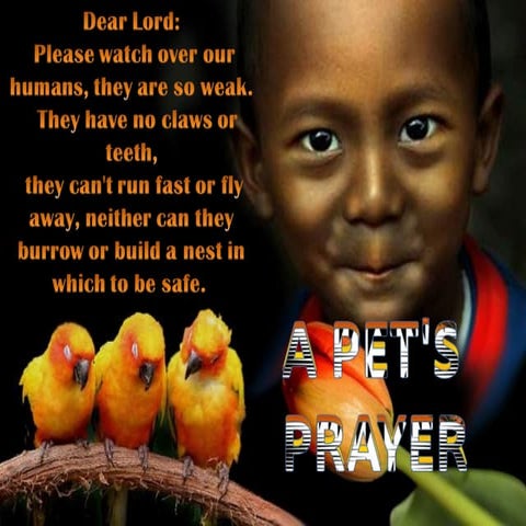 A pet's prayer