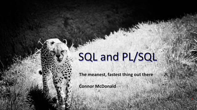 SQL and PLSQL features for APEX Developers