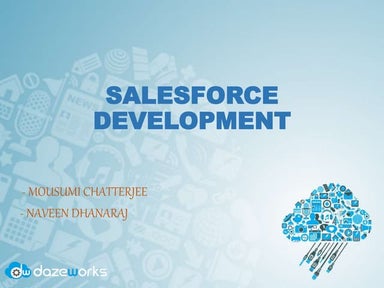 Salesforce Basic Development