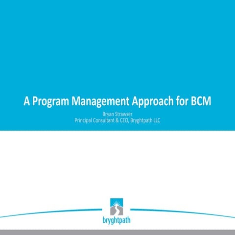 A Program Management Approach to Business Continuity