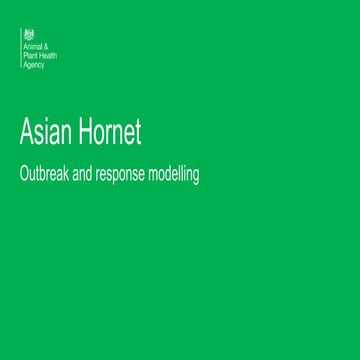 Apha - David Fouracre - Asian Hornet - Bee Prepared