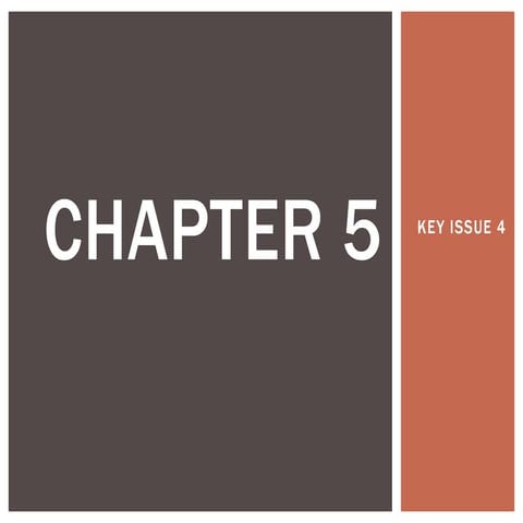 AP Hug Chapter 5: Key Issue 4 by Amela Pjetrovic