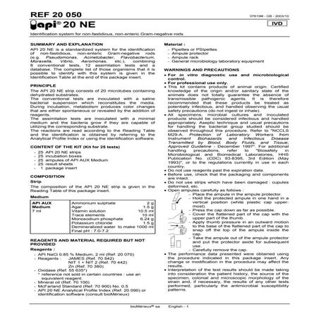 Api20neinstructions 120427102752-phpapp02