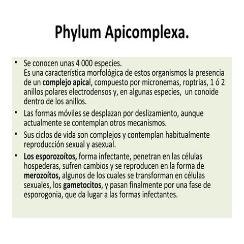 Apicomplexa (I parcial)