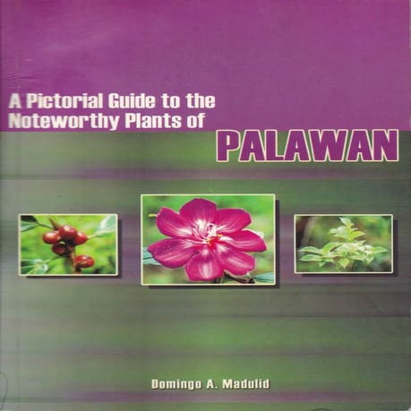 A pictorial guide to the noteworthy plants of palawan