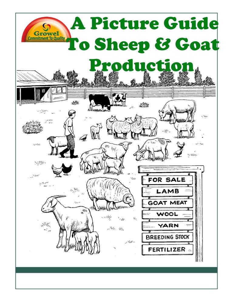 A Picture Guide To Sheep & Goat Production