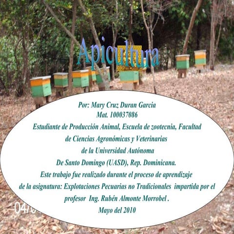 APICULTURA