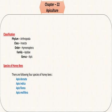 Apiculture.pptx